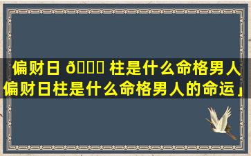 偏财日 🐋 柱是什么命格男人「偏财日柱是什么命格男人的命运」